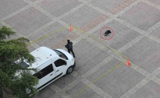 Köpekten örnek davranış: Polis şeridini ihlal etmedi