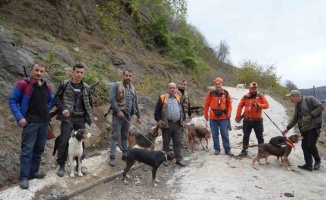 Samsun’da domuz alarmı: Avcılığa "takoz" engeli